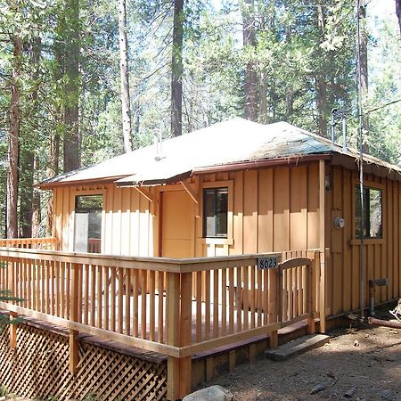 9S Pine Cabin South Wawona Zewnętrze zdjęcie