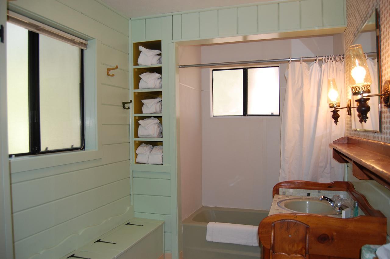 9S Pine Cabin South Wawona Zewnętrze zdjęcie