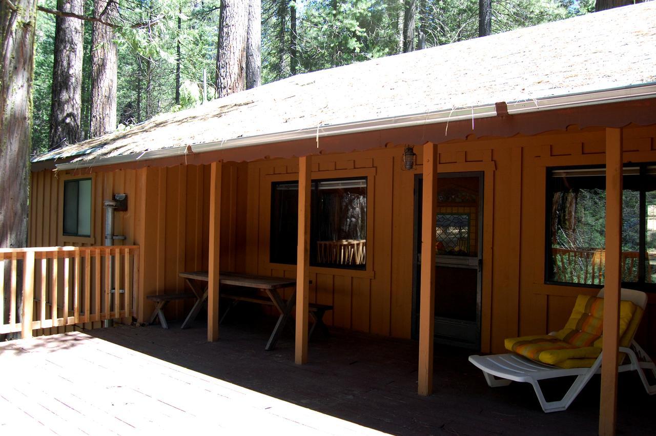 9S Pine Cabin South Wawona Zewnętrze zdjęcie